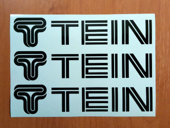 TEIN Stickers Vinyl Decals Graphics Die Cut Self Adhesive Logo 